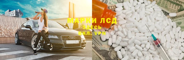 стафф Дмитровск